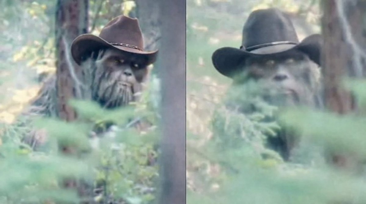 El Sotong ✝️🇺🇸🏴‍☠️ tweet media