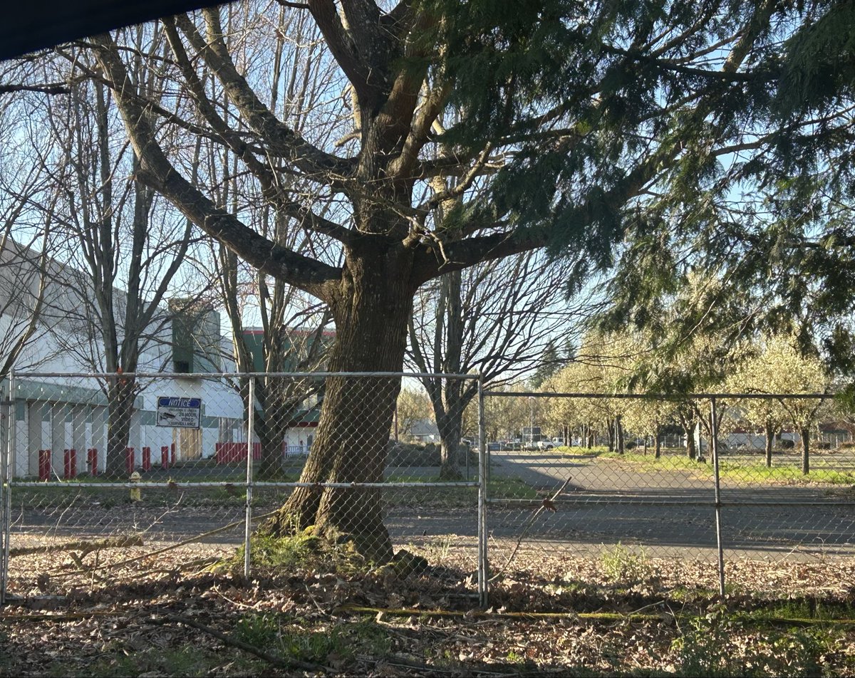 Conservative in Oregon tweet media