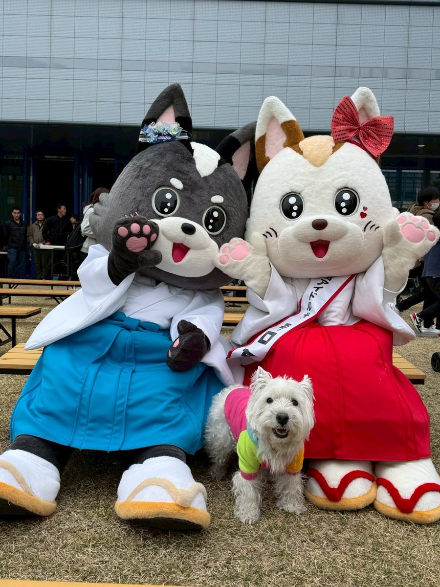 山口玲香のDOOG MORNING🐾 tweet media