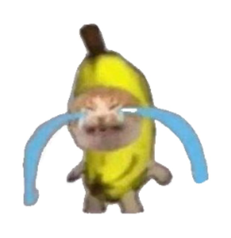 두됴지 tweet media