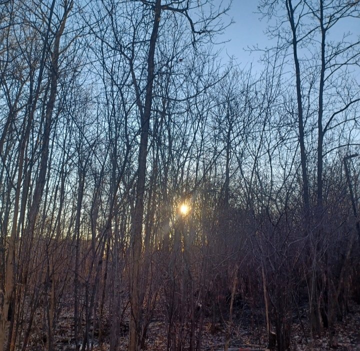 Steve Elshaw tweet media