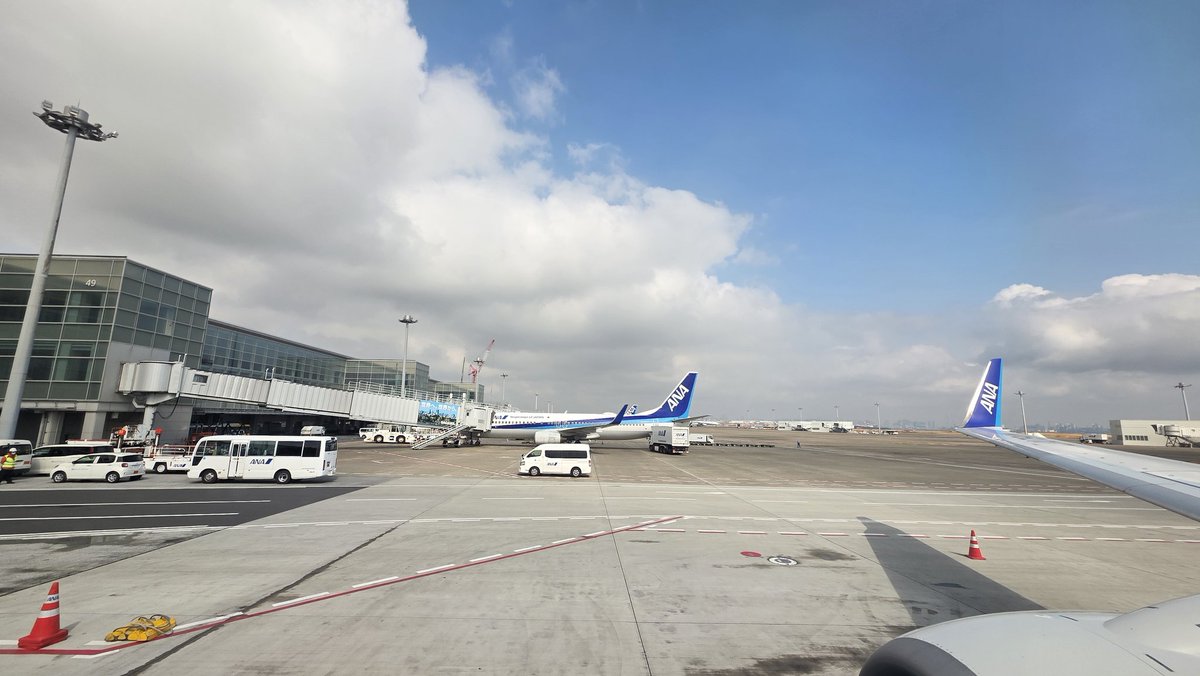 Fun Runner🐈️Rossa tweet media