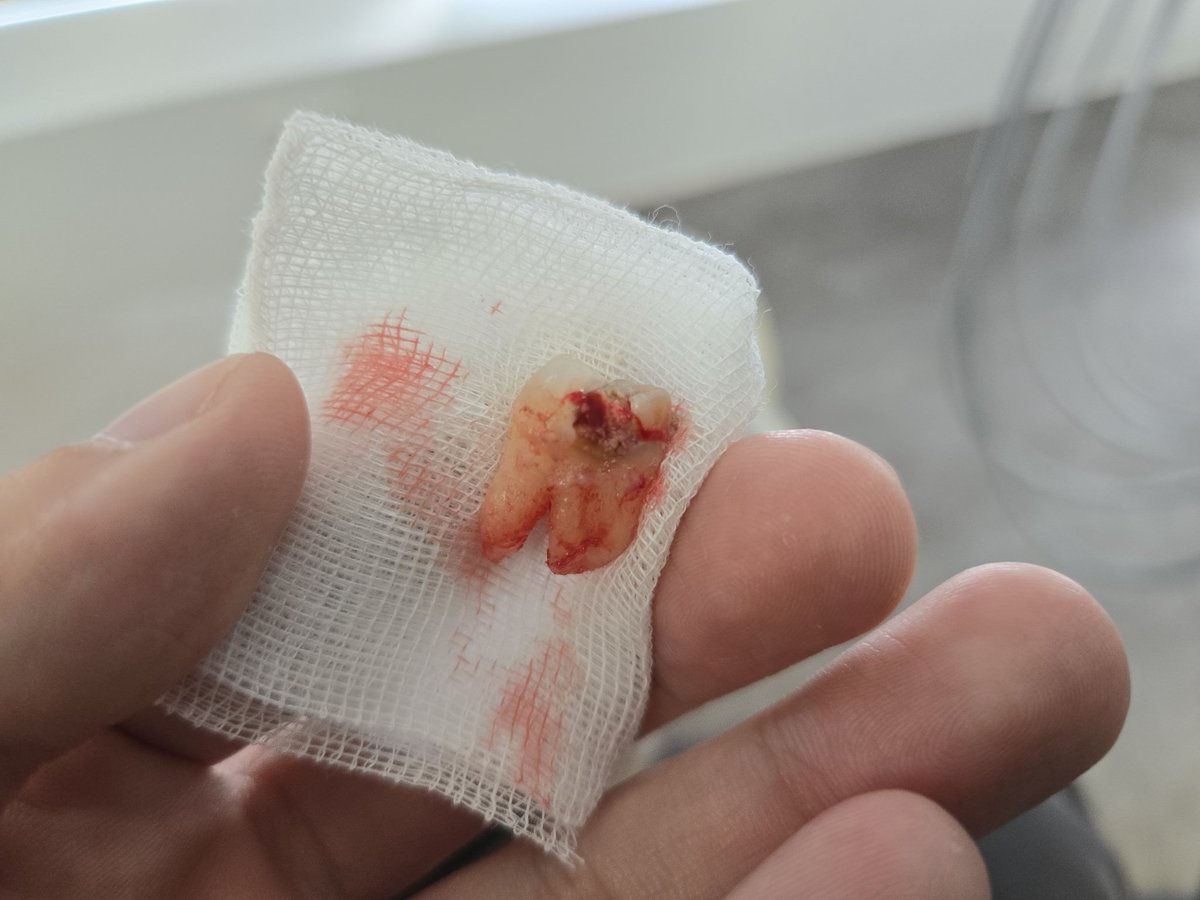 라이트닝_ISFP-T,A tweet media