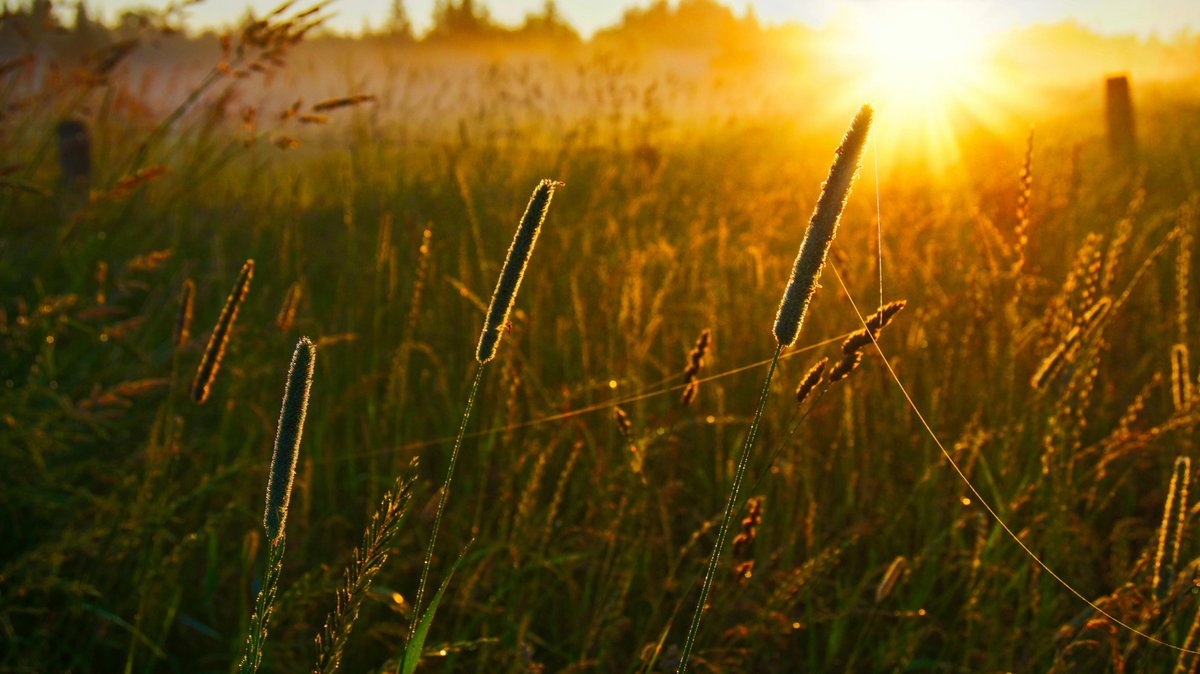 𝐏𝐫𝐚𝐧𝐞𝐞𝐭𝐡 tweet media