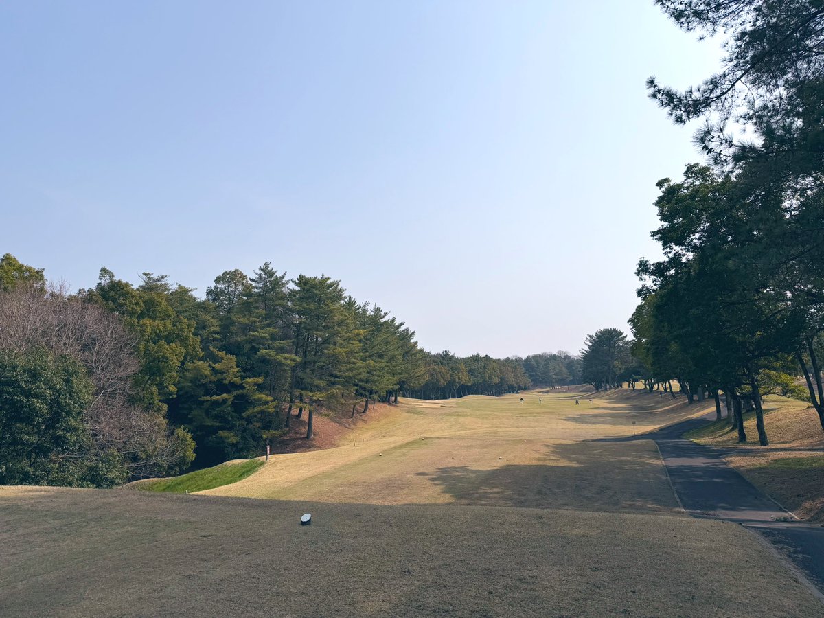 かなぴ@木に癒される生活🌲 tweet media