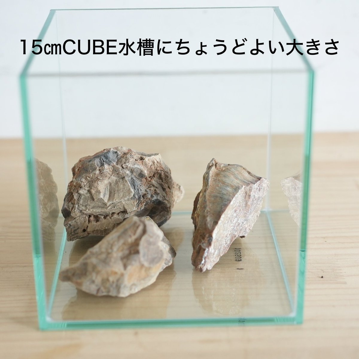 道草 michikusa tweet media