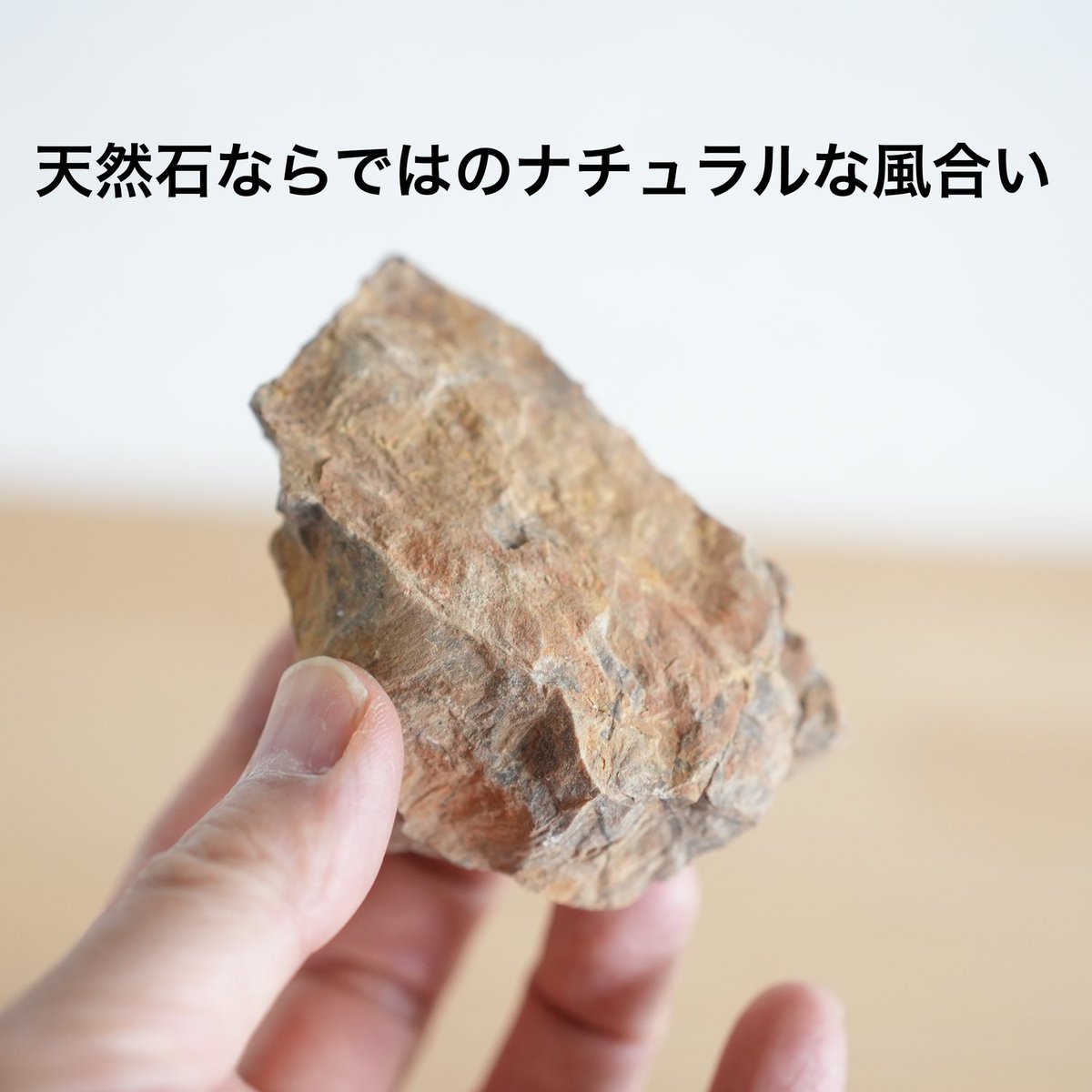 道草 michikusa tweet media