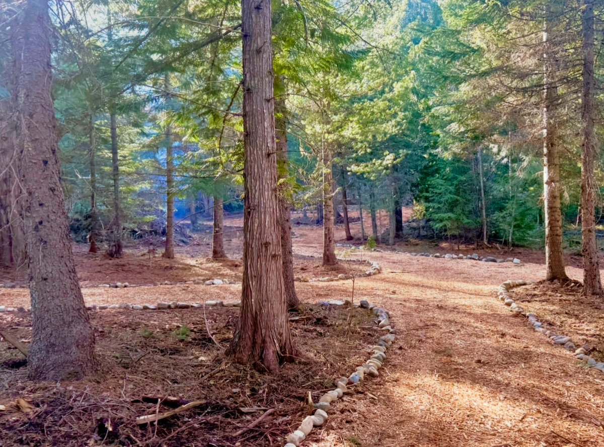 Owen Benjamin 🐻 tweet media