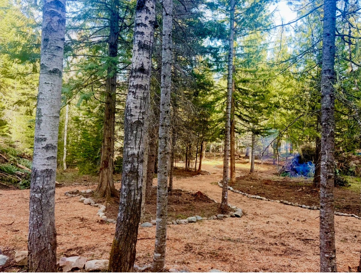 Owen Benjamin 🐻 tweet media