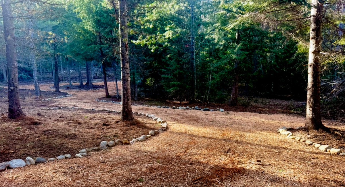 Owen Benjamin 🐻 tweet media