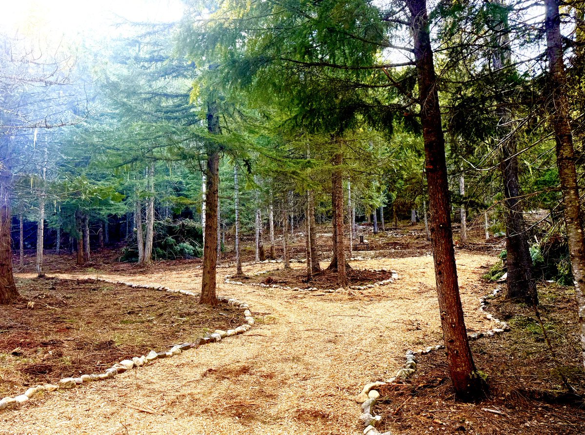 Owen Benjamin 🐻 tweet media