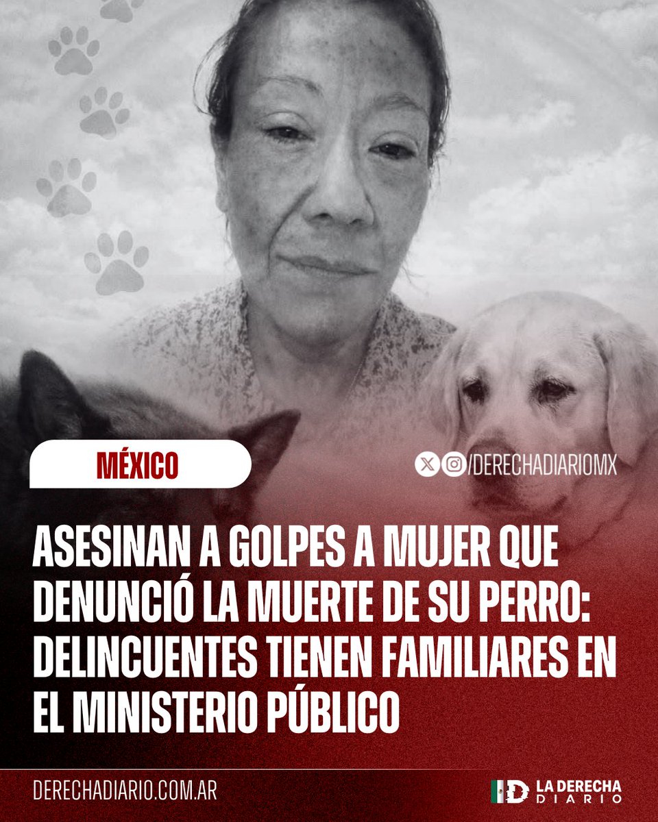 La Derecha Diario México tweet media