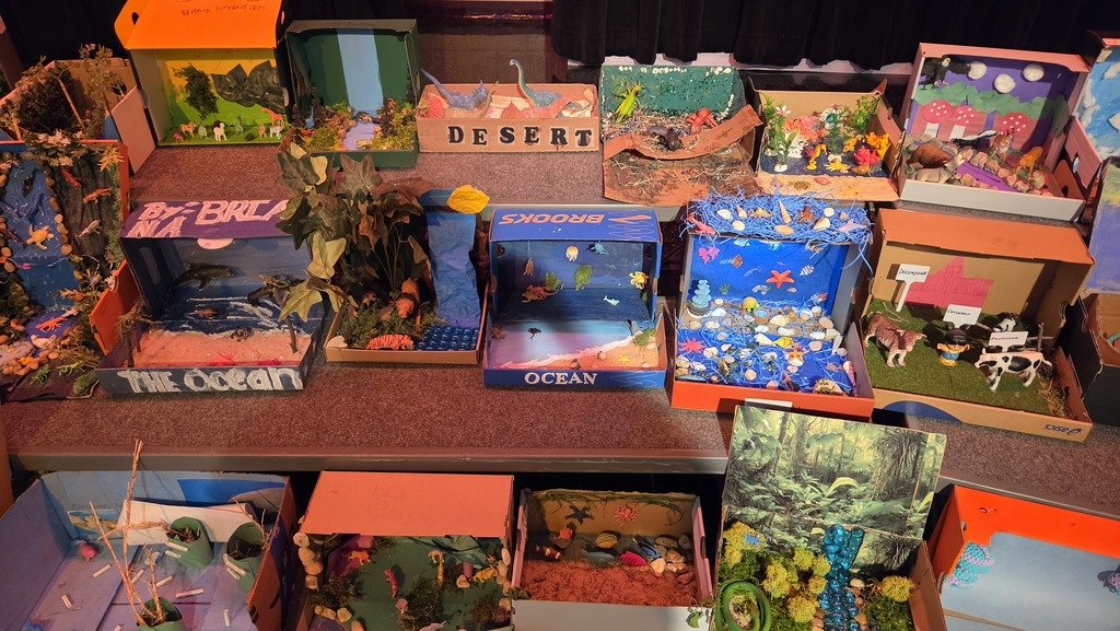 TownleyEle_EISD's tweet image. 🦁🌴 Our 5th graders are showing off their amazing ecosystem projects today! From the rainforest to the tundra, these scientists know their biomes! 🌎✨ #5thGradeScience #EcosystemExplorers #ScienceRocks