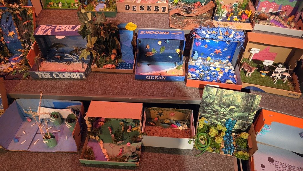 TownleyEle_EISD's tweet image. 🦁🌴 Our 5th graders are showing off their amazing ecosystem projects today! From the rainforest to the tundra, these scientists know their biomes! 🌎✨ #5thGradeScience #EcosystemExplorers #ScienceRocks