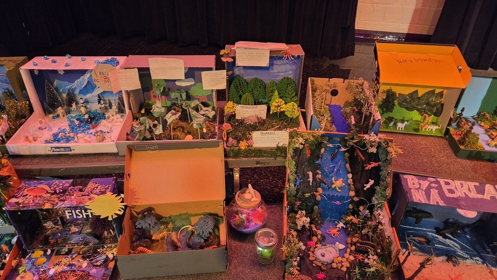 TownleyEle_EISD's tweet image. 🦁🌴 Our 5th graders are showing off their amazing ecosystem projects today! From the rainforest to the tundra, these scientists know their biomes! 🌎✨ #5thGradeScience #EcosystemExplorers #ScienceRocks