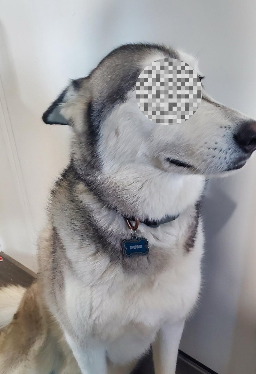 Conservatism And Elegance 🇺🇲 tweet media