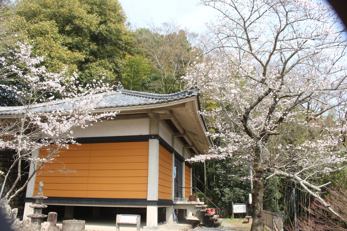 建　茂 tweet media