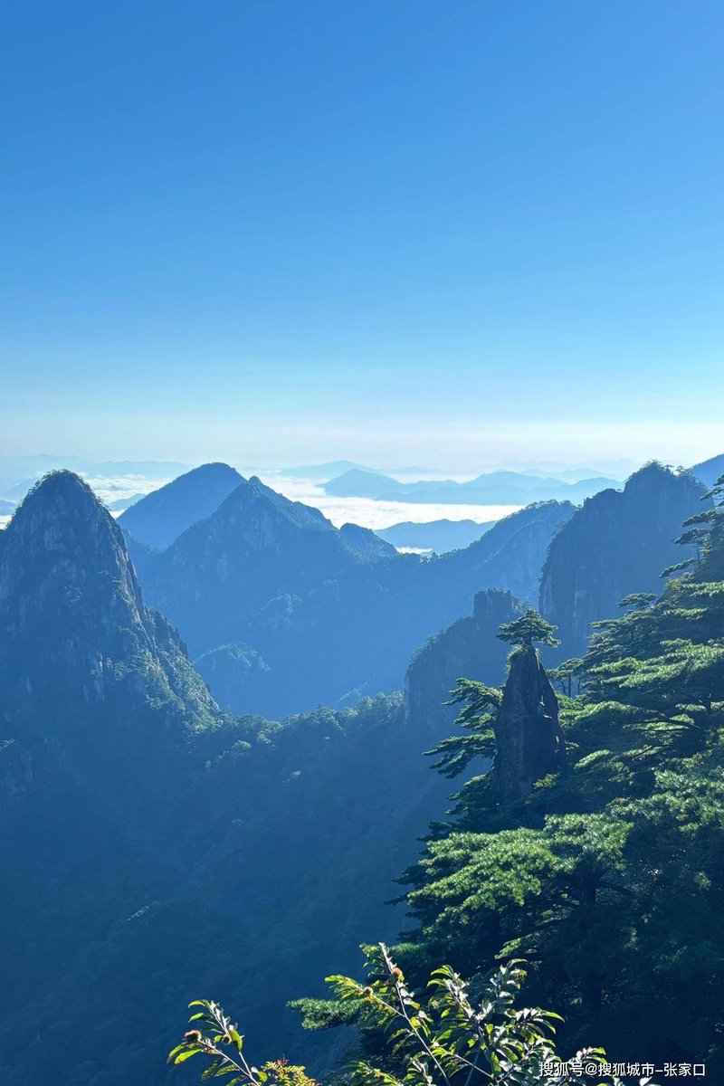 M  o  o  D tweet media