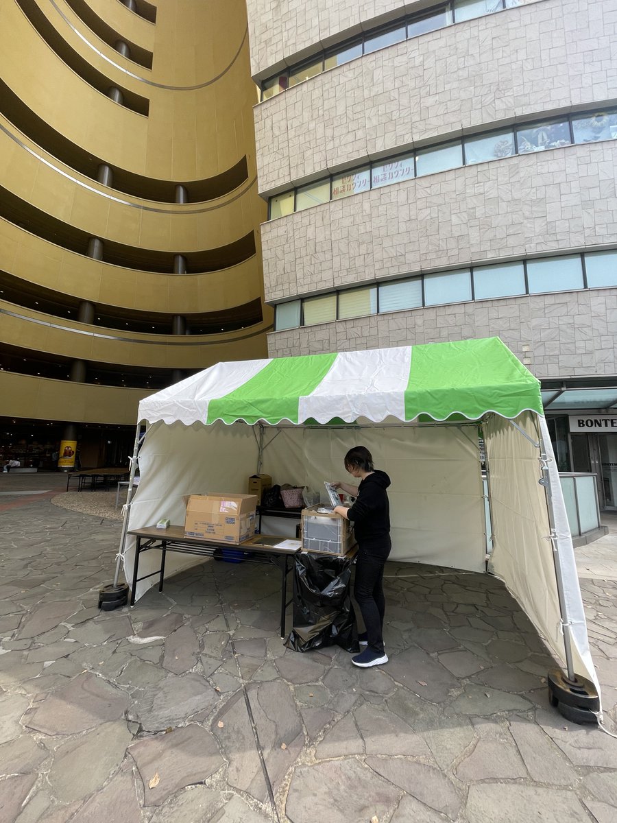 🐯toraneko🐱@サクラ出陣両日 tweet media