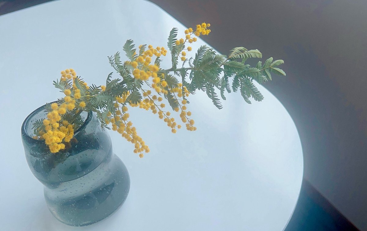 稲村梓 tweet media