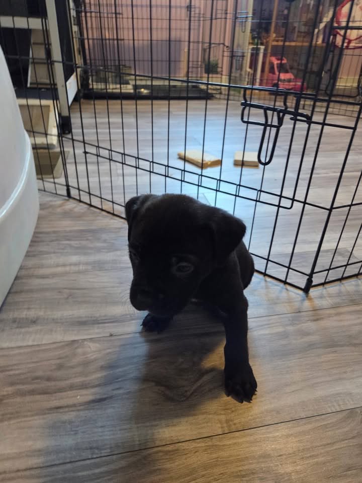 #LEARLOCKS tweet media