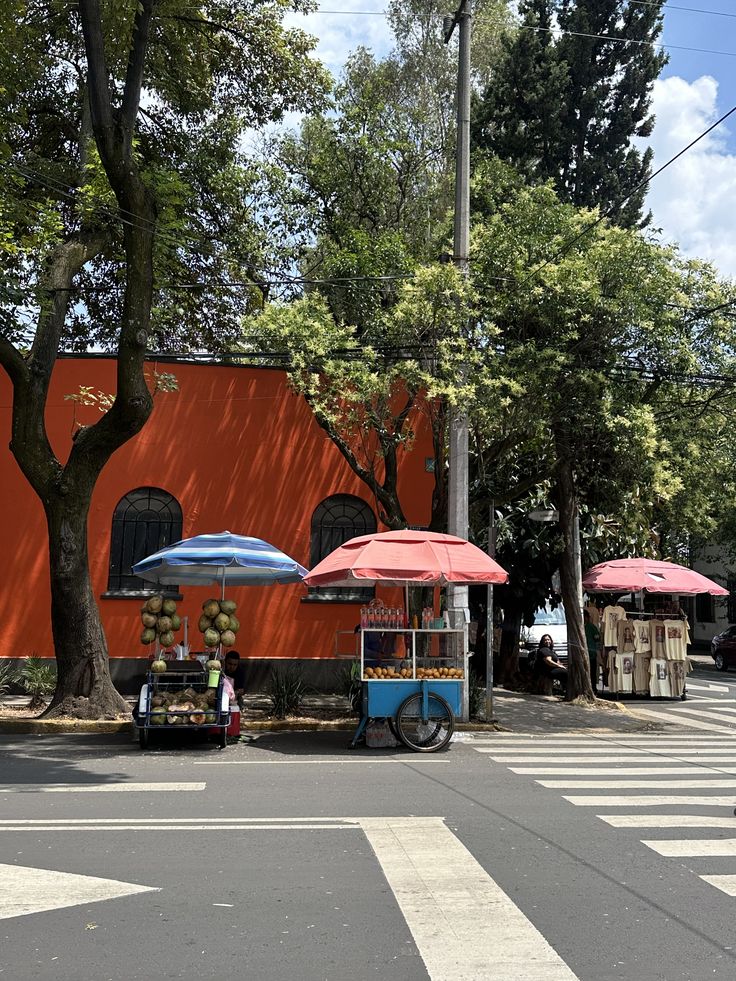 𝙇𝘼𝙏𝘼𝙈 𝘼𝙀𝙎𝙏𝙃𝙀𝙏𝙄𝘾 ✨🦜 tweet media