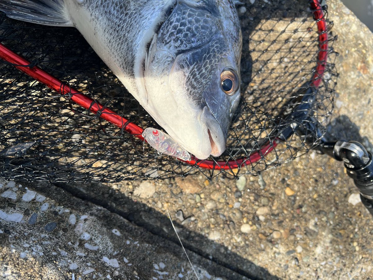 みなみサン tweet media