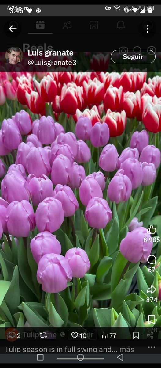 Amada Guzman tweet media