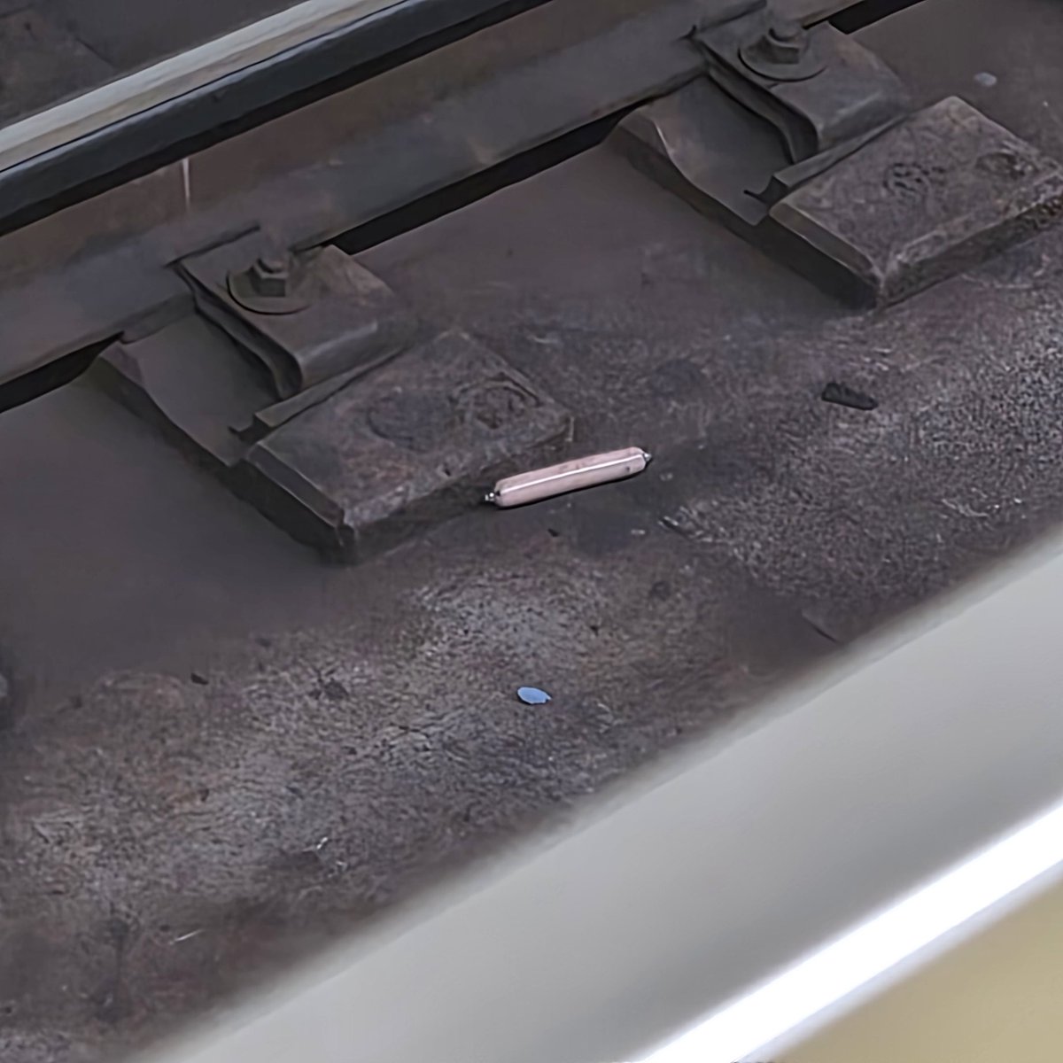 のんちゃん🍯RED Dragon心斎橋店 tweet media