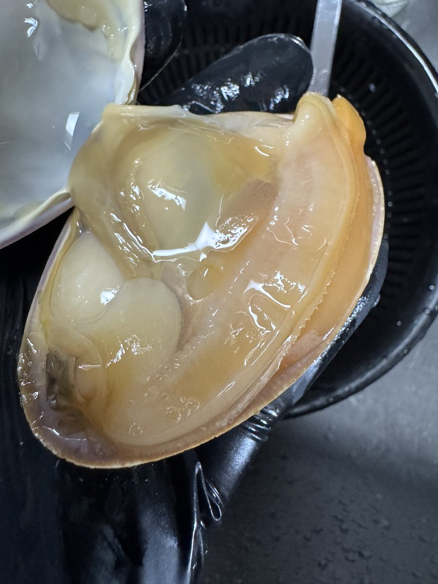 栽培マンEX™️ tweet media