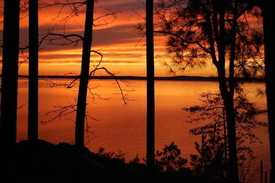 Sturdy Jenn tweet media