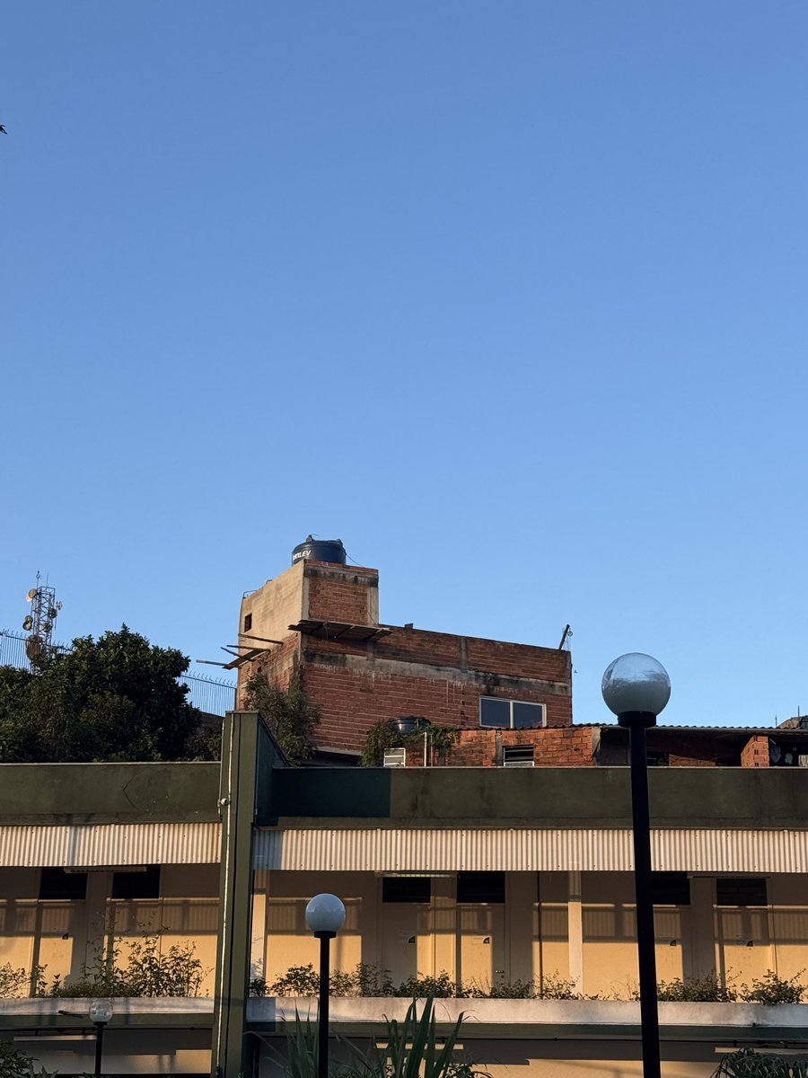 Anelize | canal Profa Anelize tweet media