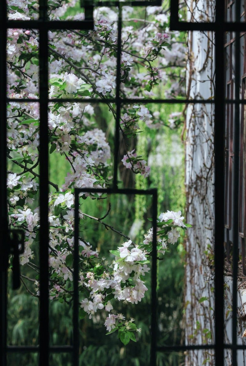 美和趣味（🇨🇳期待互fo） tweet media