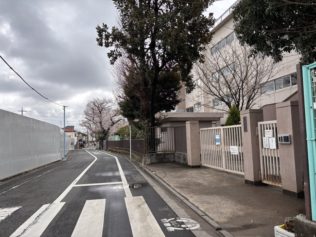 長谷部 美子｜行政書士オフィス ハナウタ＆おはかんり代表 tweet media