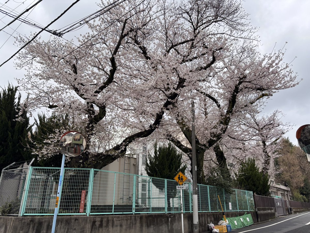 長谷部 美子｜行政書士オフィス ハナウタ＆おはかんり代表 tweet media