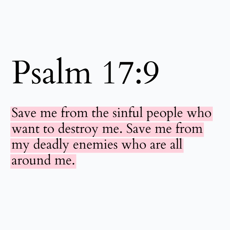 Holy Bible tweet media