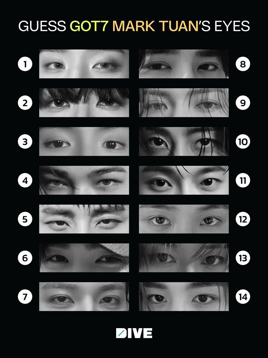 DIVE Studios tweet media