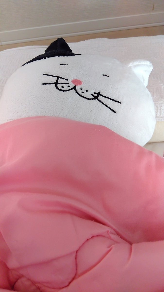 マグロ勢 tweet media