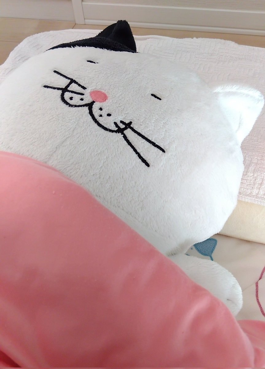 マグロ勢 tweet media