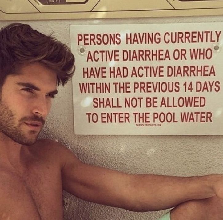 horse dentist tweet media