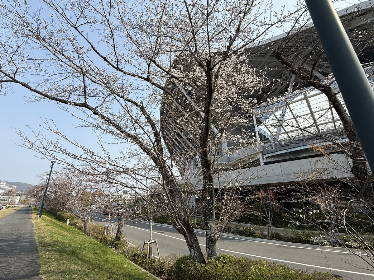 エディオンピースウイング広島 tweet media