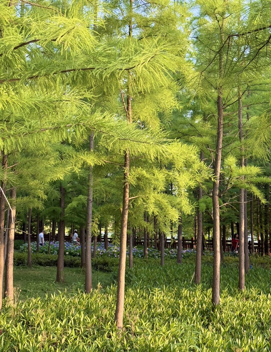 salmainraj tweet media