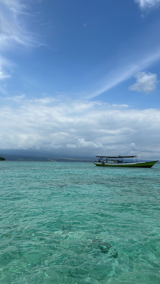 bubu miyo tweet media