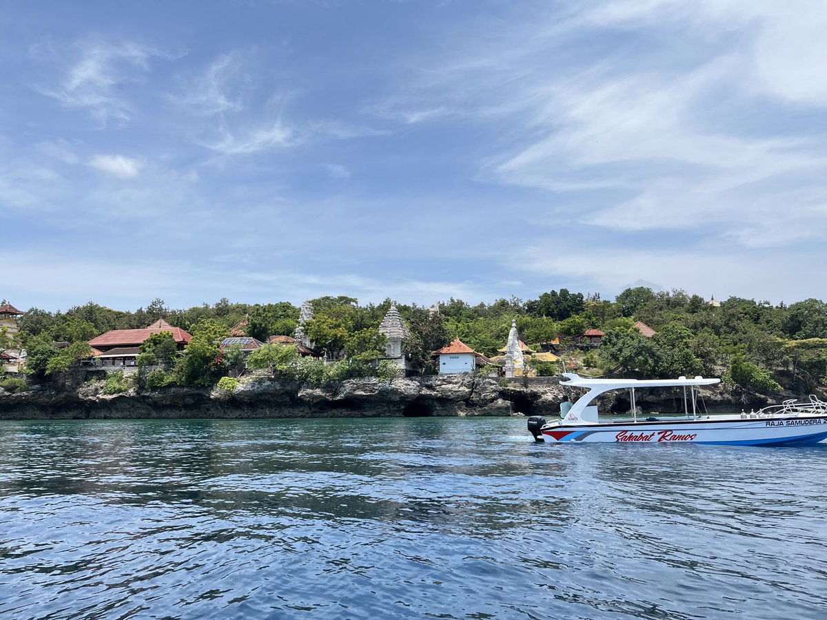 bubu miyo tweet media