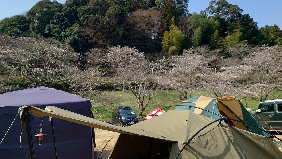 Kazu Camp⛺ tweet media