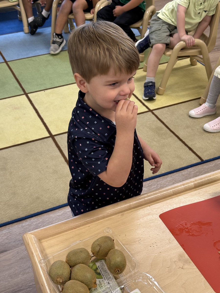 StephanieRISDLM's tweet photo. Little Mustangs 2s celebrated the color green by tasting green foods. Kiwi, avocado, and lime sherbet were a hit! Green peppers, not so much! #RISDDreamBig #RISDcla @RISDecs https://t.co/9KevpetAPB