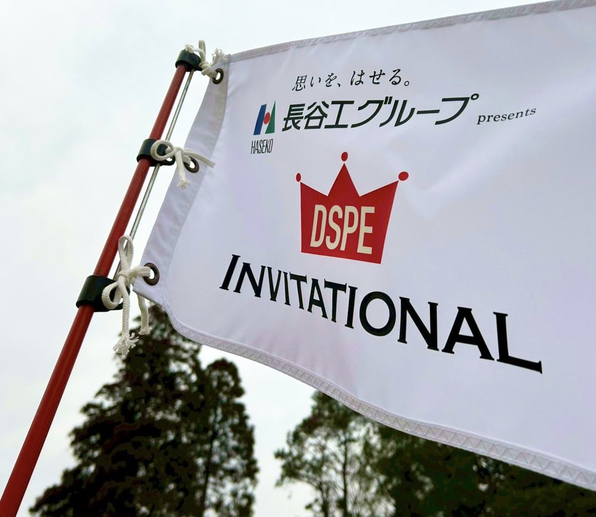 dspegolf's tweet photo. 【番組O.A.情報】
3月28日(土)11:00〜13:55
BS日テレ「長谷工グループ presents DSPE INVITATIONAL」が放送されます!
3月16日・17日 千葉よみうりカントリークラブにて開催された試合の模様をお届けします!
#DSPE #DSPEインビテーショナル
#DSPEINVITATIONAL
#golf #ゴルフ #女子ゴルフ https://t.co/j6YjZBLfy3