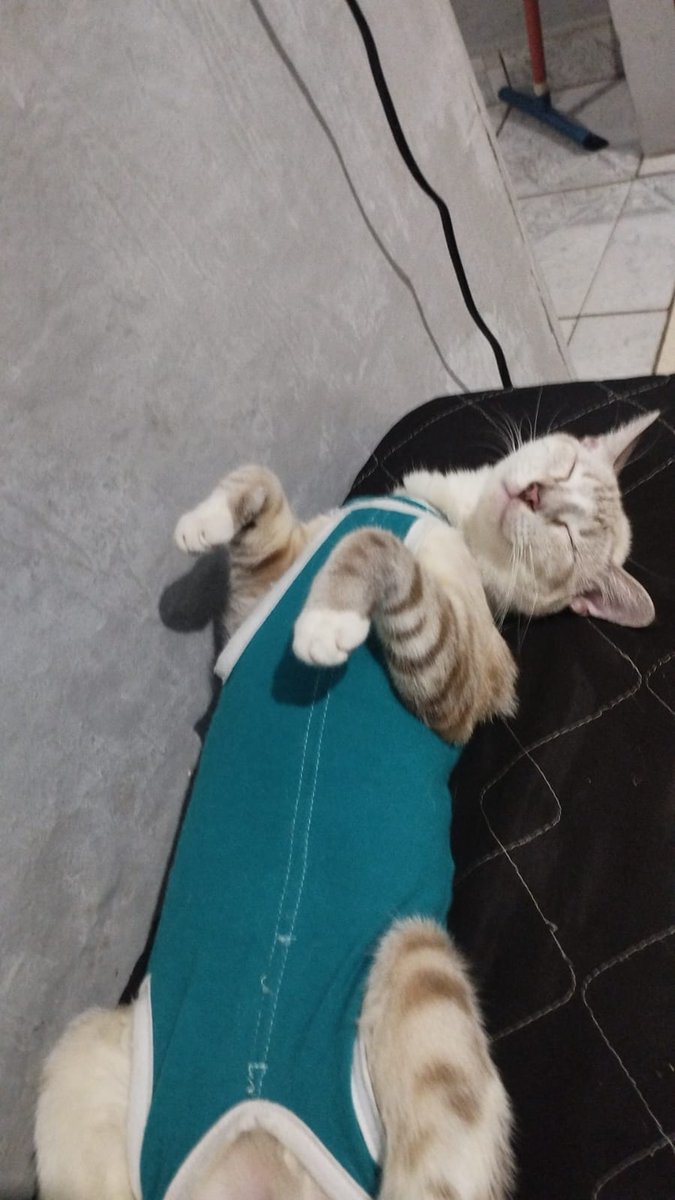 Obs1812@ tweet media