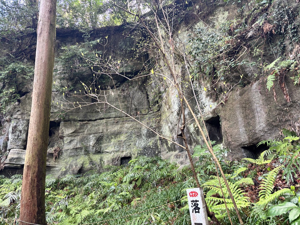 nonp_jp's tweet photo. ちょっと空き時間があったので、大仏切通に行ってみた。
ぬかるみが酷くてアレでした。 https://t.co/dumBW0V1y5