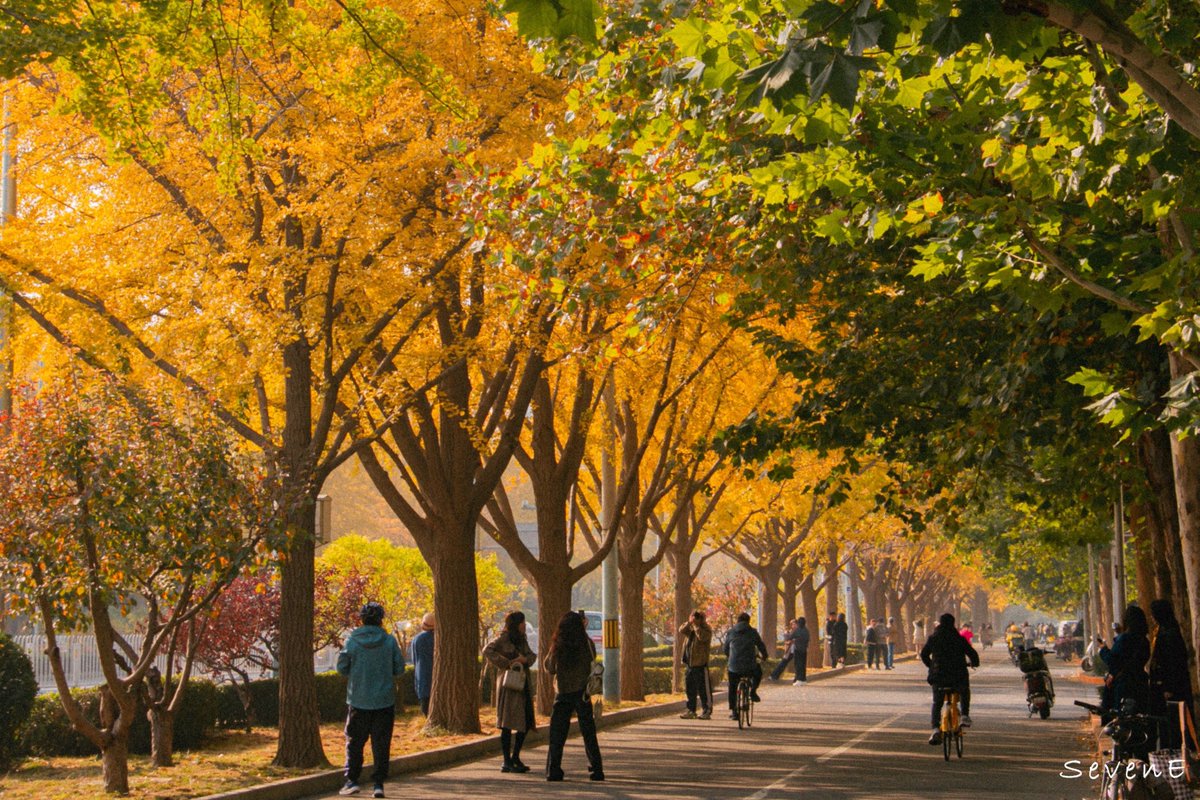 Jéssica Lima tweet media